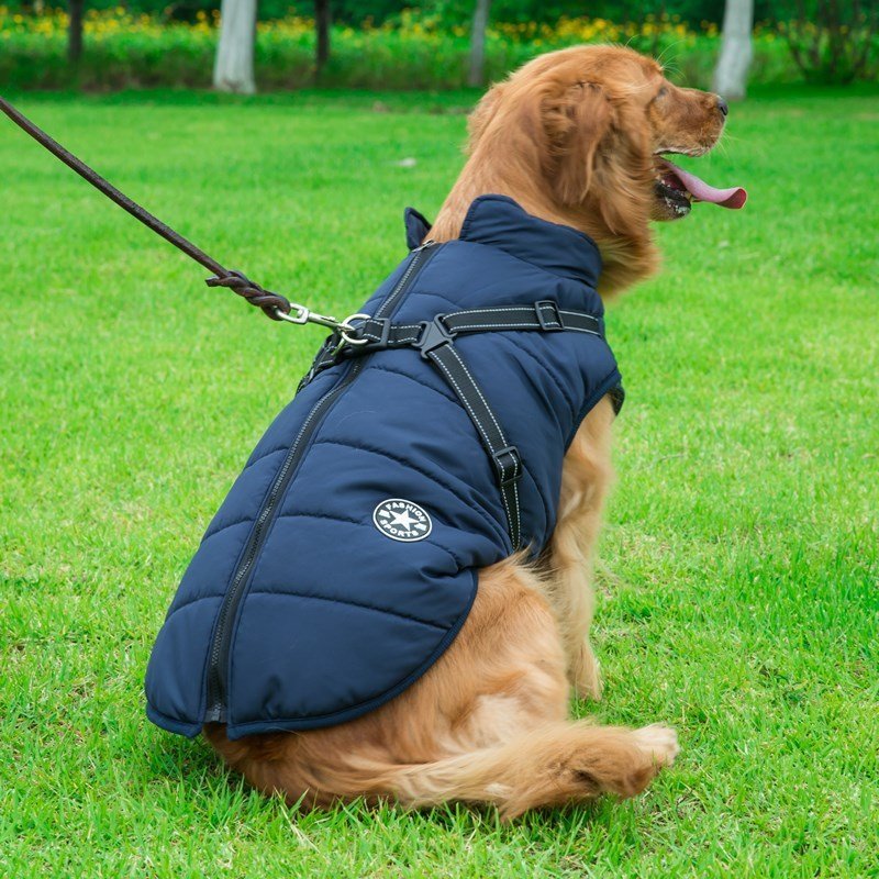 Cappottino impermeabile "Fashion Sports" con pettorina integrata per cani - Dog Moda