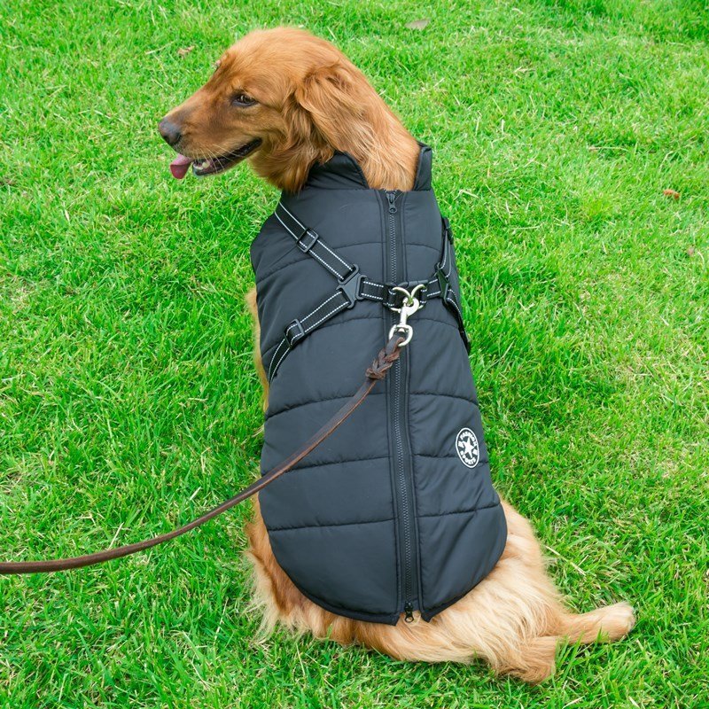 Cappottino impermeabile "Fashion Sports" con pettorina integrata per cani - Dog Moda
