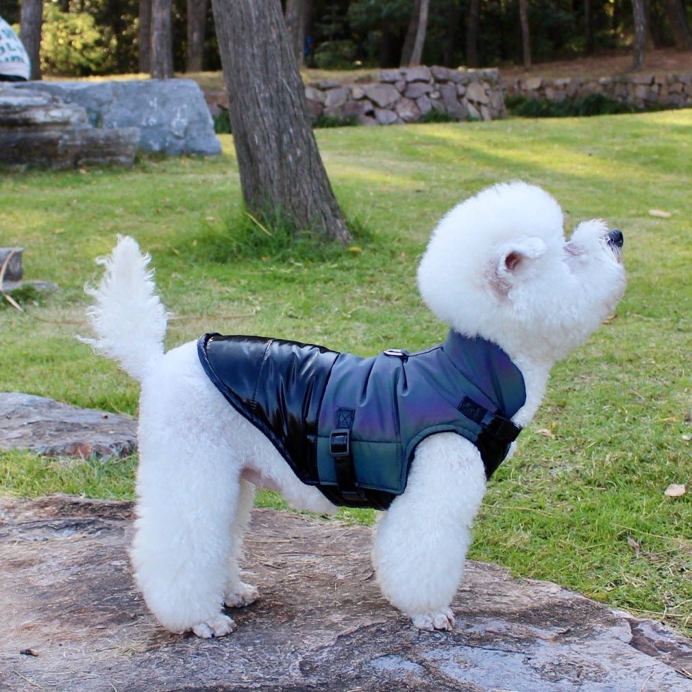 Cappottino Impermeabile per Barboncini - Modello "Rapid" - Dog Moda
