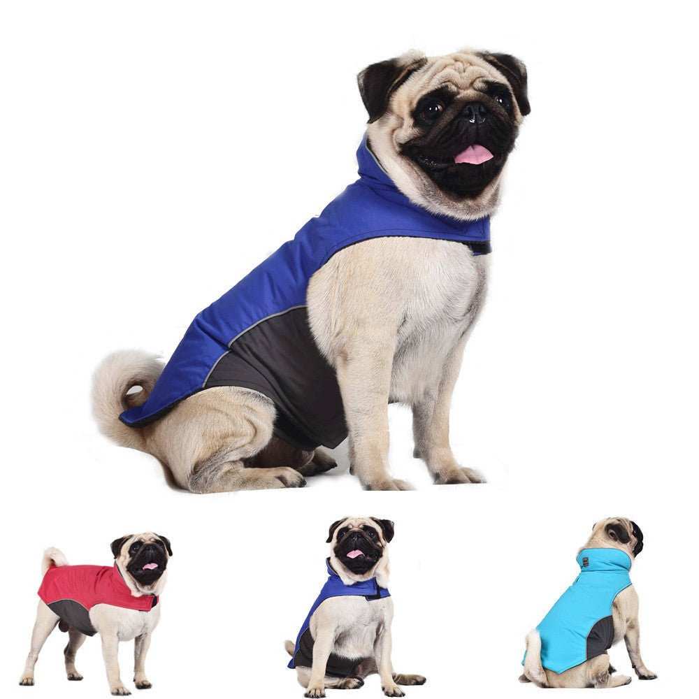 Cappottino Impermeabile per Carlino – Modello "Pug" - Dog Moda