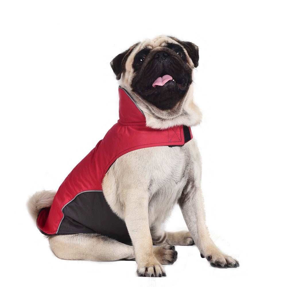 Cappottino Impermeabile per Carlino – Modello "Pug" - Dog Moda