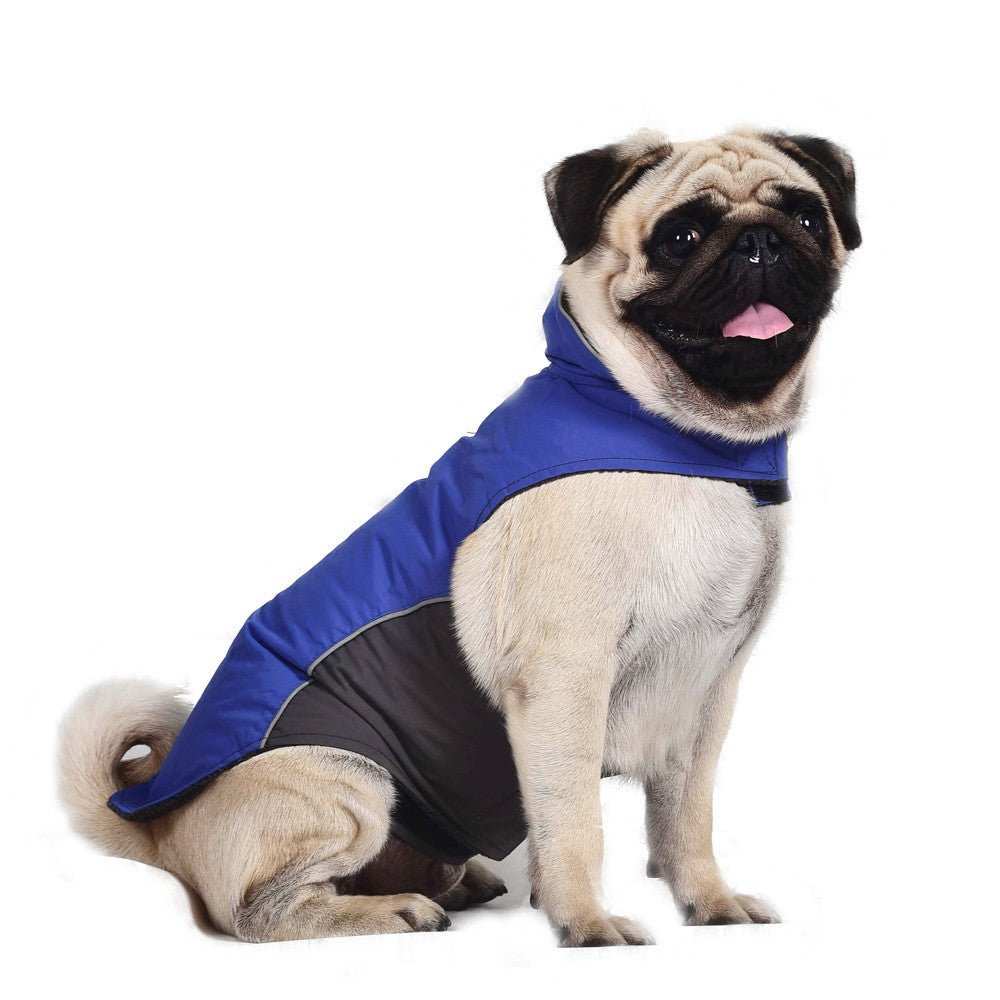 Cappottino Impermeabile per Carlino – Modello "Pug" - Dog Moda