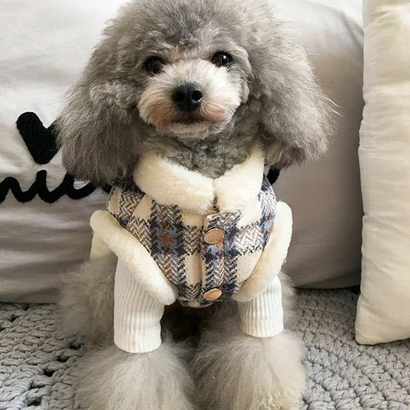 Cappottino in Pile per Cani con Fantasia a Quadretti – Perfetto per le Passeggiate Autunnali - Dog Moda