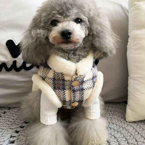 Cappottino in Pile per Cani con Fantasia a Quadretti – Perfetto per le Passeggiate Autunnali - Dog Moda