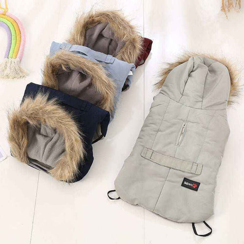Cappottino per Cani con Cappuccio "Seny" - Dog Moda