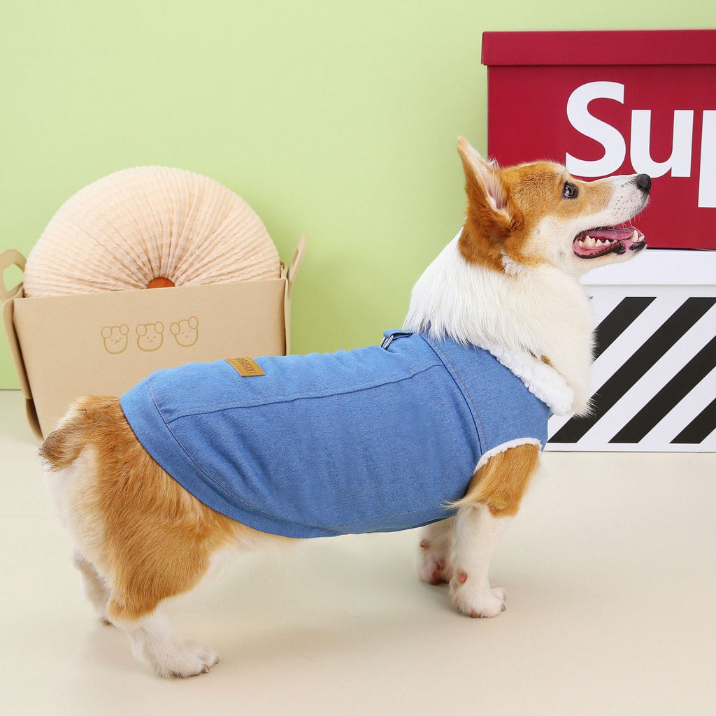 Cappottino per Cani specifico Corgi DADAGOU - Modello "Corgi Special" - Dog Moda