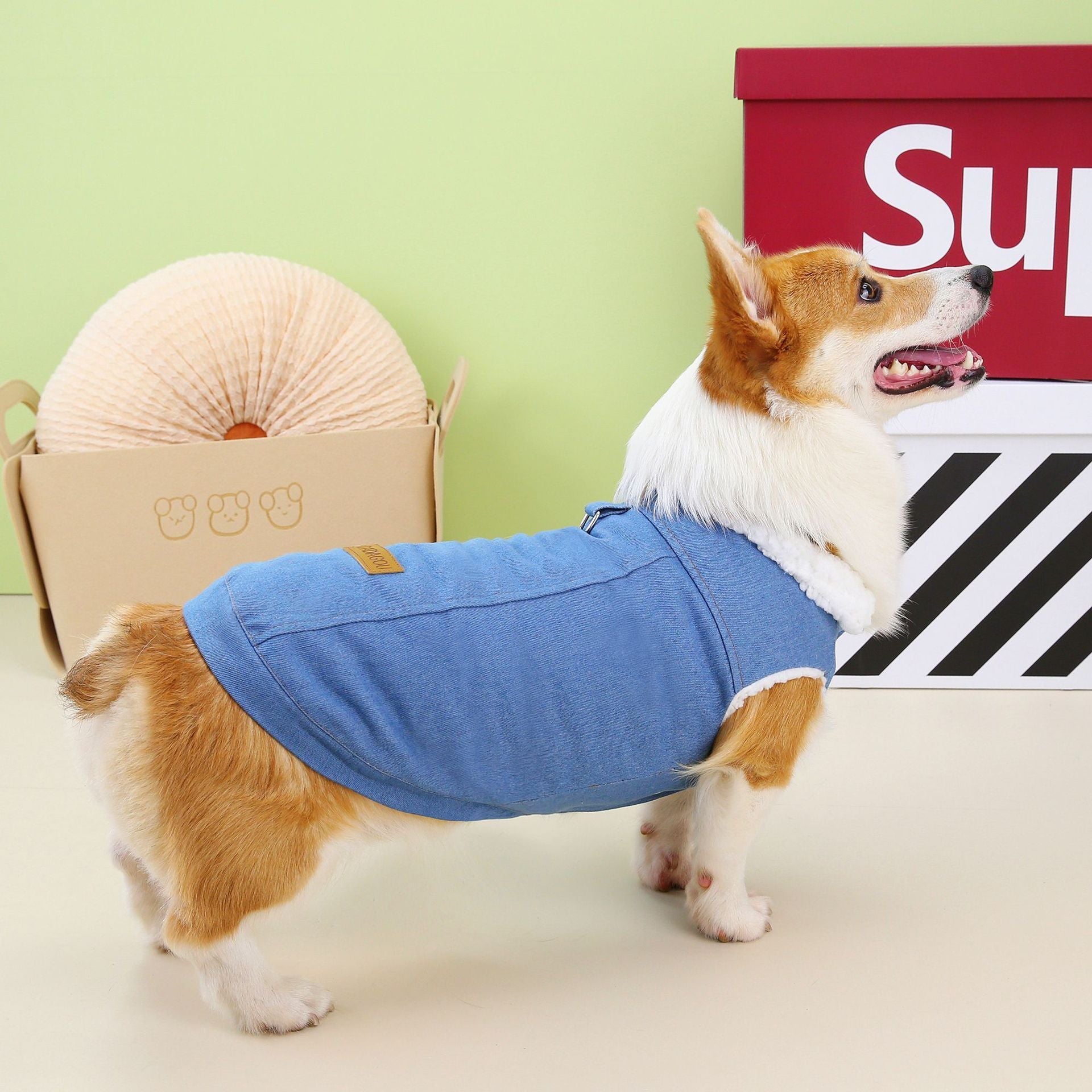 Cappottino per Cani specifico Corgi DADAGOU - Modello "Corgi Special" - Dog Moda