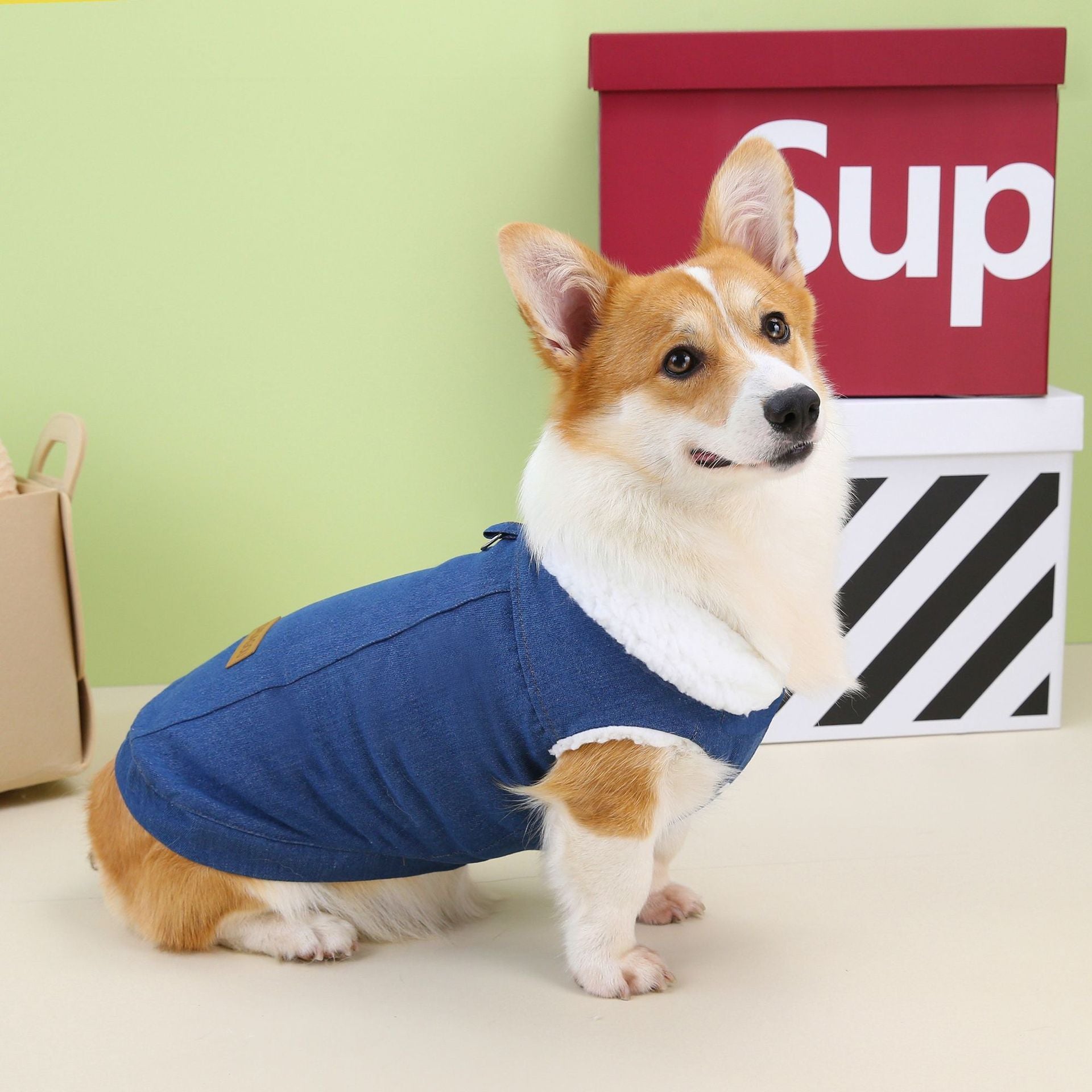 Cappottino per Cani specifico Corgi DADAGOU - Modello "Corgi Special" - Dog Moda