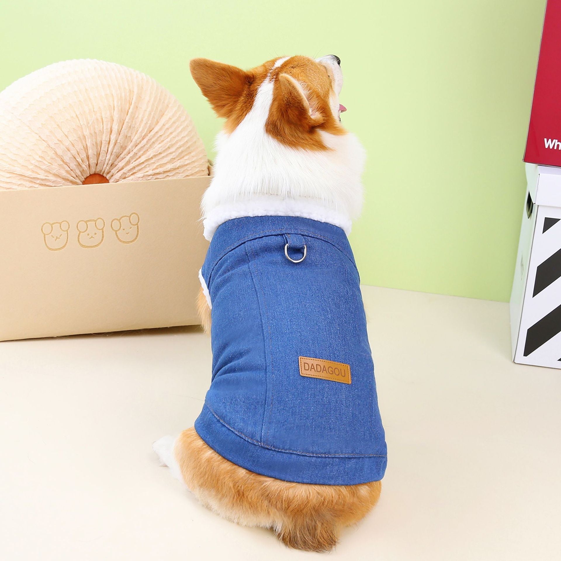 Cappottino per Cani specifico Corgi DADAGOU - Modello "Corgi Special" - Dog Moda