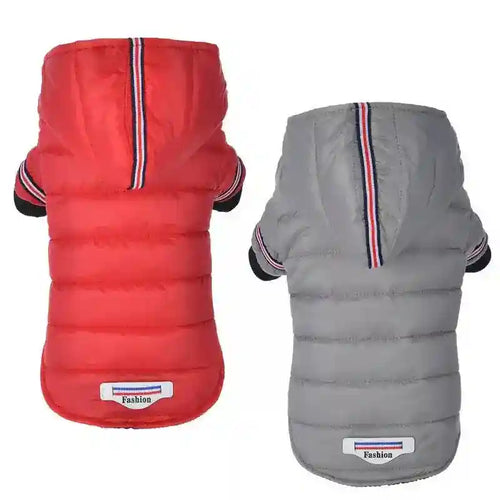 Cappotto per cani barboncino "Fashion" - Dog Moda