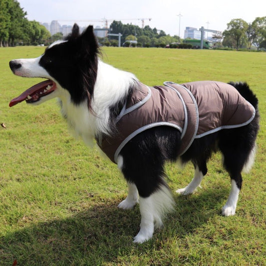 Cappotto per Cani Modello "Cocoon" con chiusura in velcro - Dog Moda