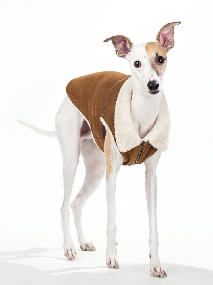 Cappotto Smanicato per cani in Pelle Scamosciata con Imbottitura in Pelo d'Agnello - Dog Moda