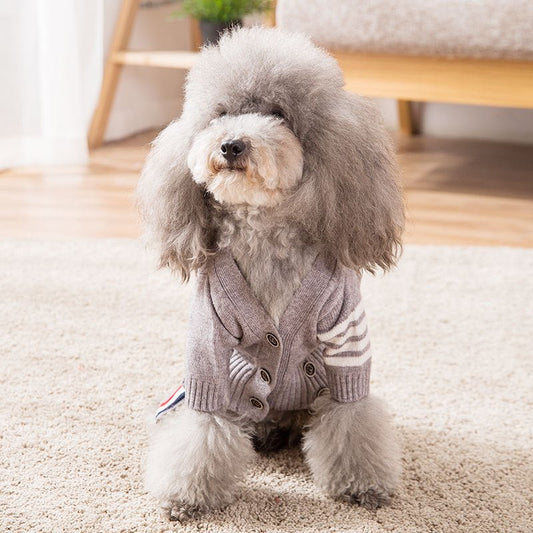 Cardigan per Cani "Paris" Grigio con Chiusura a Bottoni sul Torace - Dog Moda