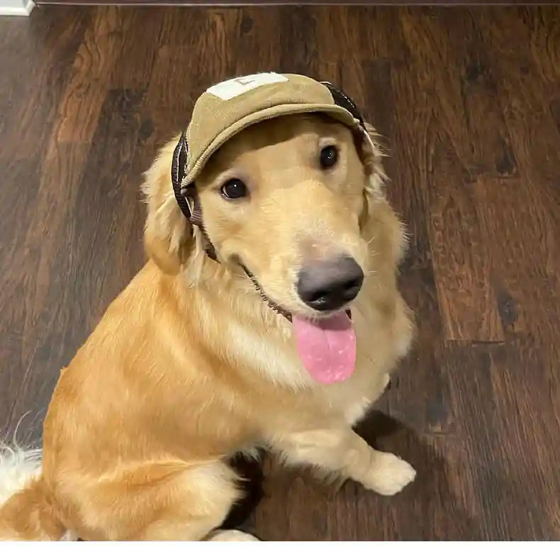 犬用つば付きキャップ - 通気性ベルベット