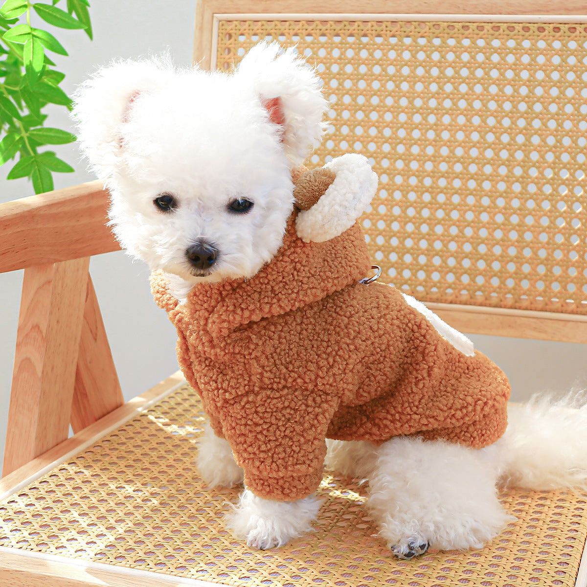 Dog Sweatshirt with Embroidered Teddy Bear and Hood with Ears