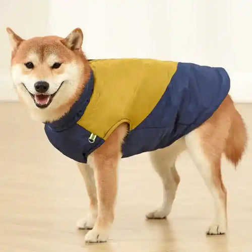 Cappotto per Cani Taglia Media e Grande | Zip, Riflettenti e Look Casual by Dog Moda