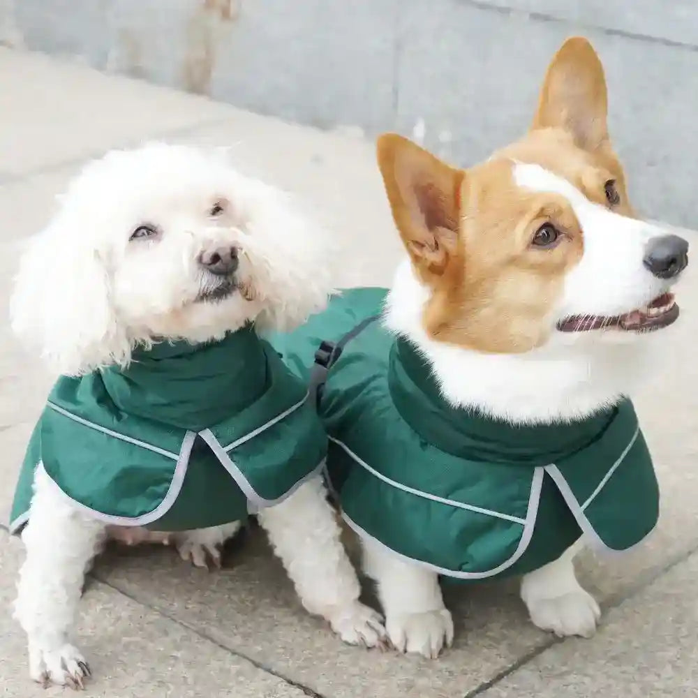 Cappotto per Cani Shell Antivento e Riflettente - Dogmoda by null