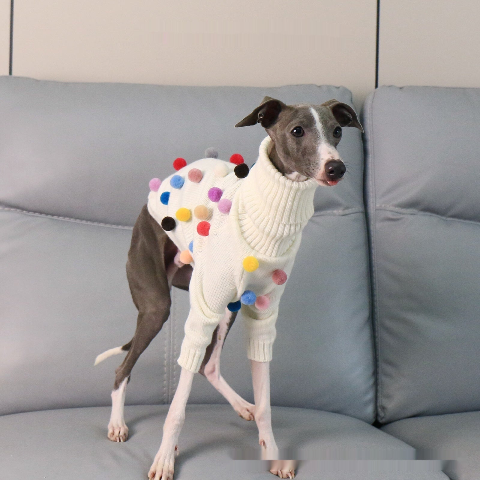 Maglione per Cani Arlecchino Bianco con Pon Pon Colorati