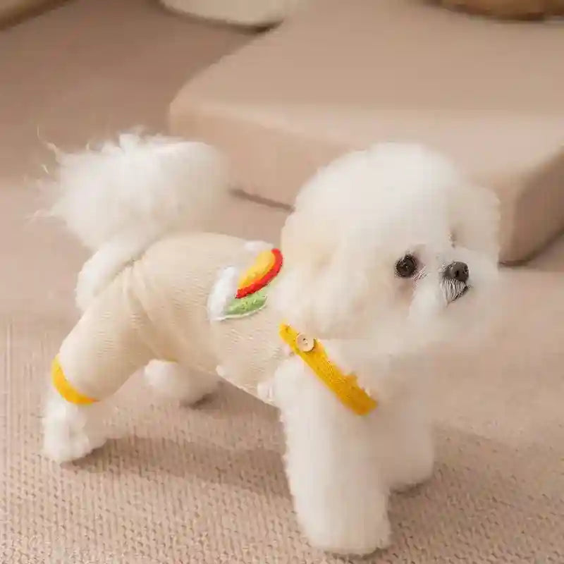 Salopette Arcobaleno Velluto Cani con Bretelle 4 Zampe by Dog Moda