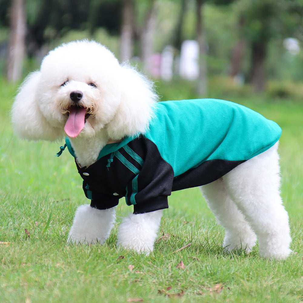 "Tolosa" Dog Sweatshirt with Casual Hood and Button Closure