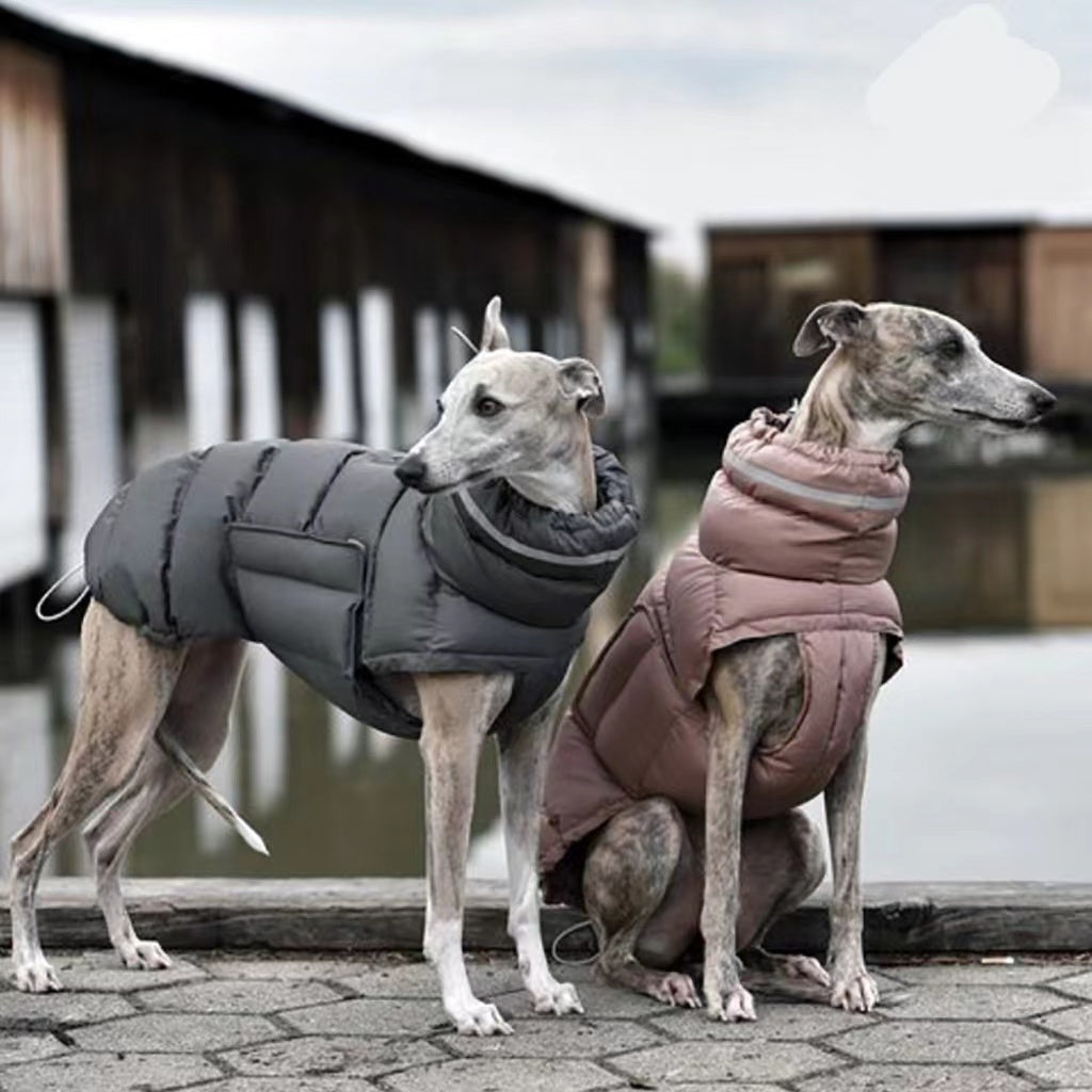 Piumino per cani imbottito antivento "Woom"