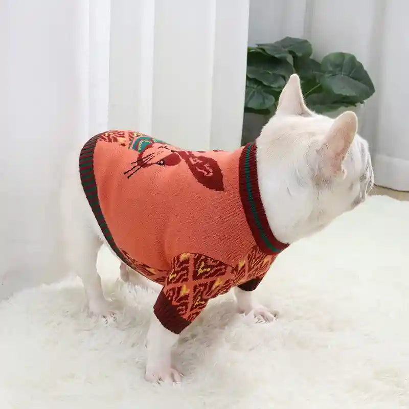 Maglione Cani Bunny Coniglietto - Cotone Nordico by Dog Moda