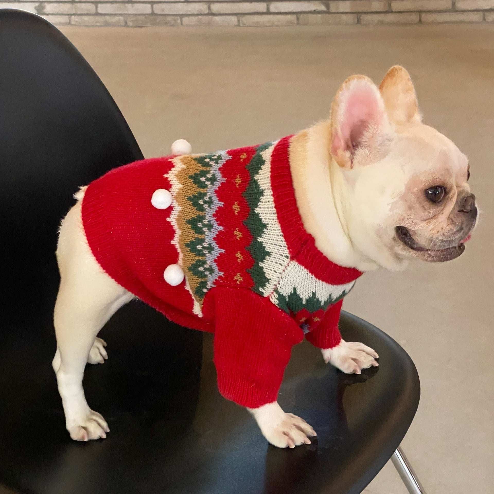 Red Dog Sweater with Christmas Embroidery and White Pom Pom