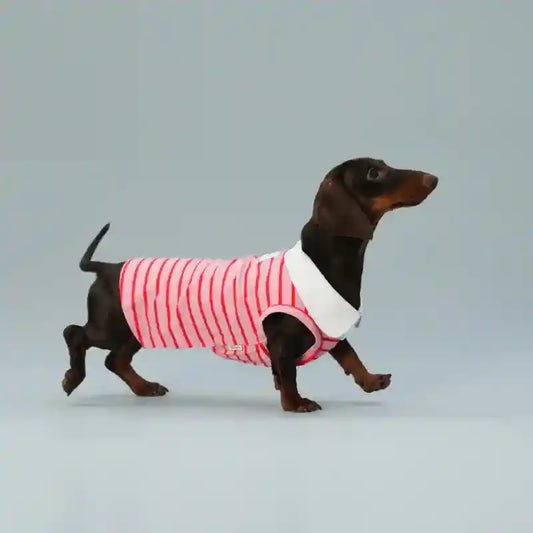Maglia Polo per Cani Rosa - Colletto Bianco | Dogmoda by Dog Moda