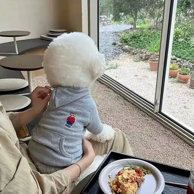 Sudadera para perros con capucha y bordado de osito suave