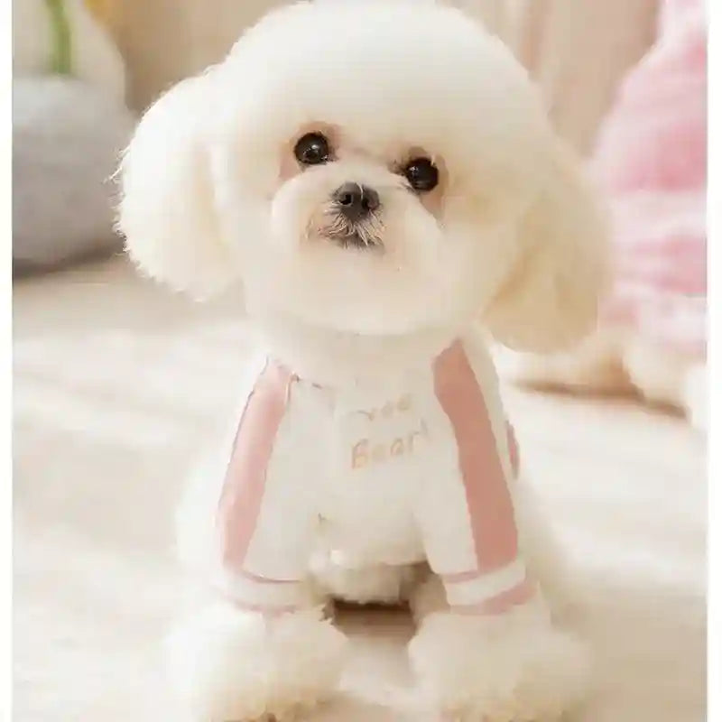 Giacca Coniglietto per Cani - Maglione Rosa con Ricamo by Dog Moda