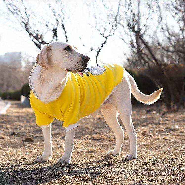 Sudadera con Capucha para Perros Grandes - Osito y Panda