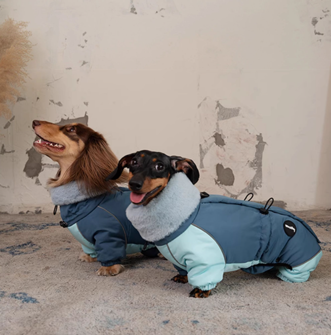 4-Legged Dachshund Padded Coat - High Fleece Collar