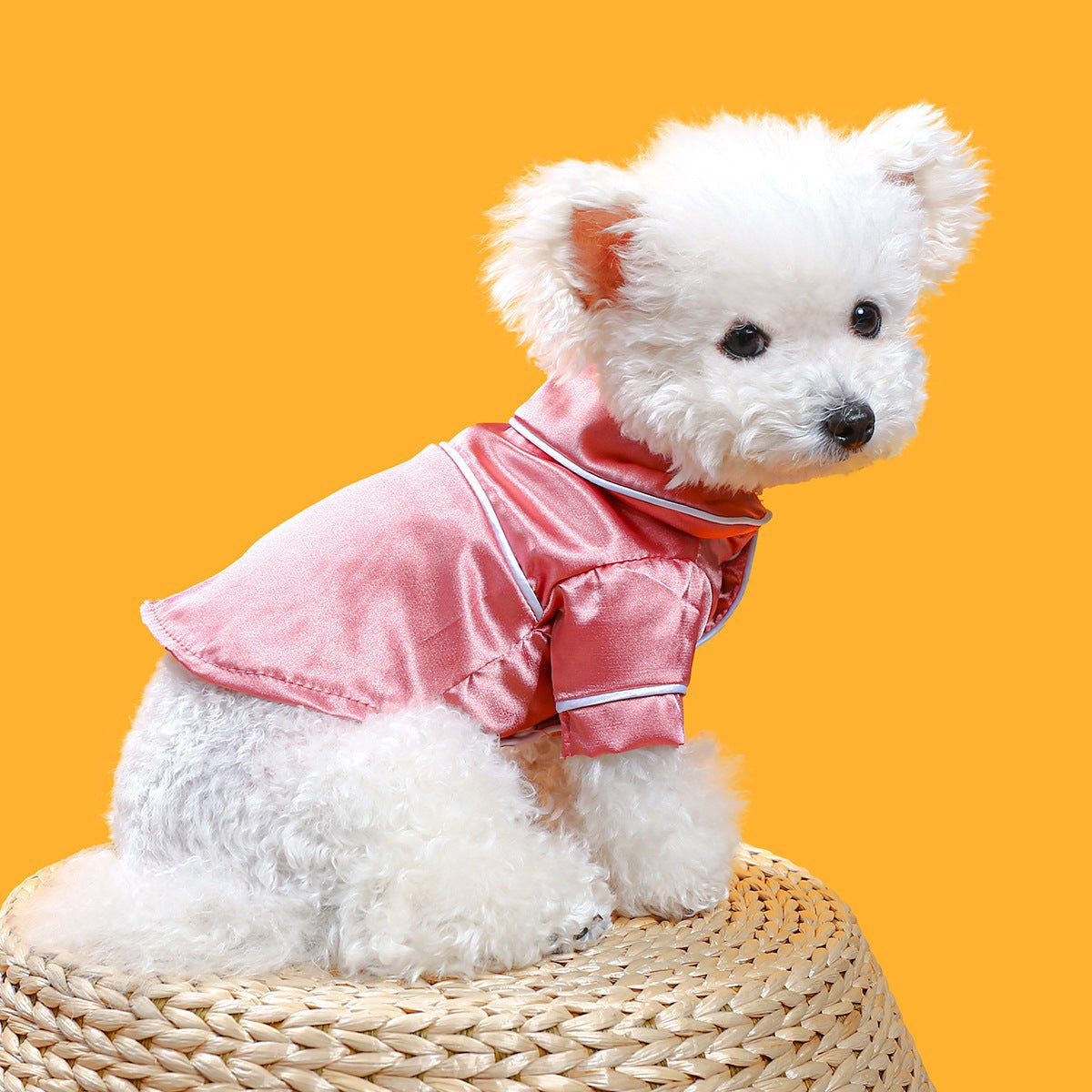 Chic Quadrato: Vestitino Elegante per Can - Dog Moda