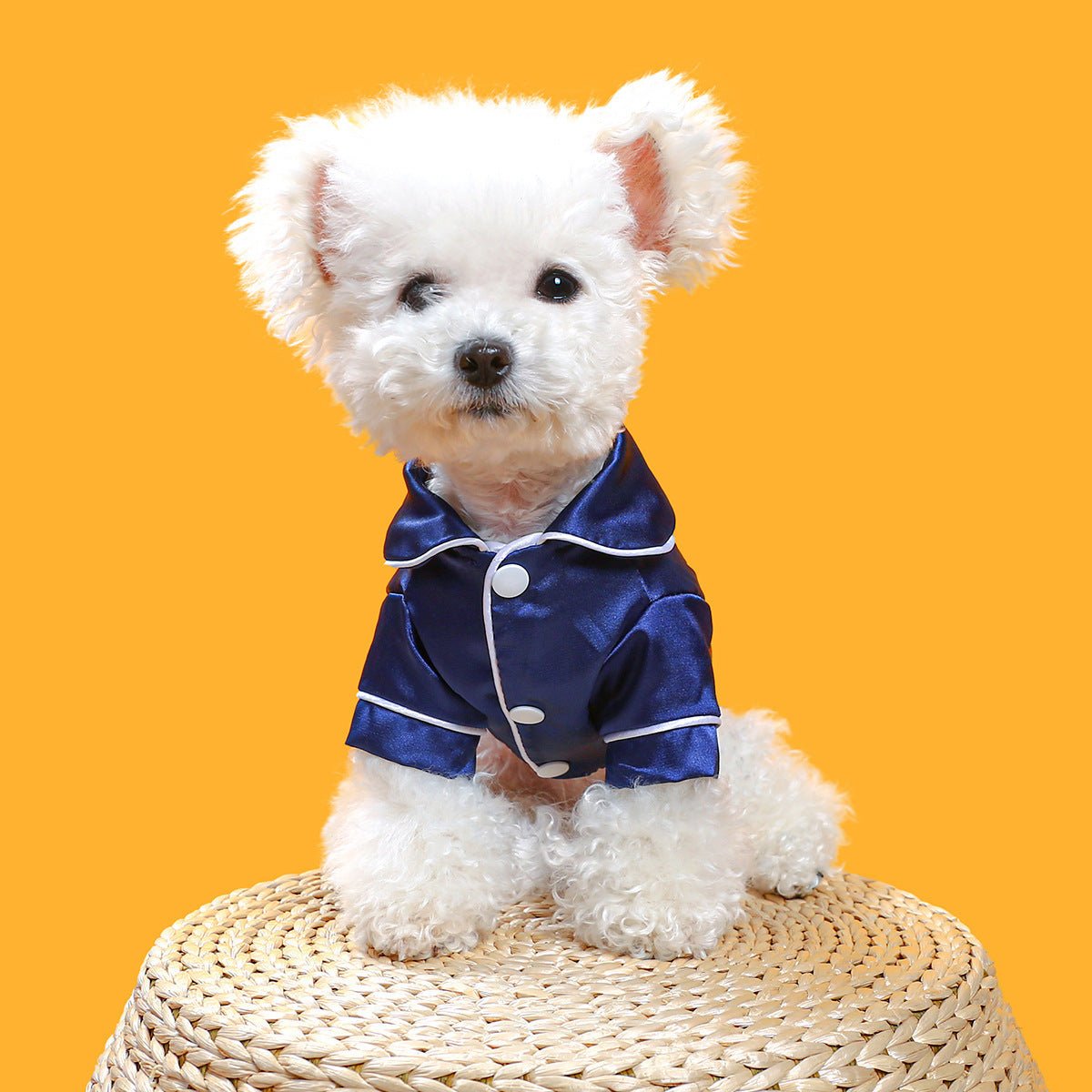 Chic Quadrato: Vestitino Elegante per Can - Dog Moda