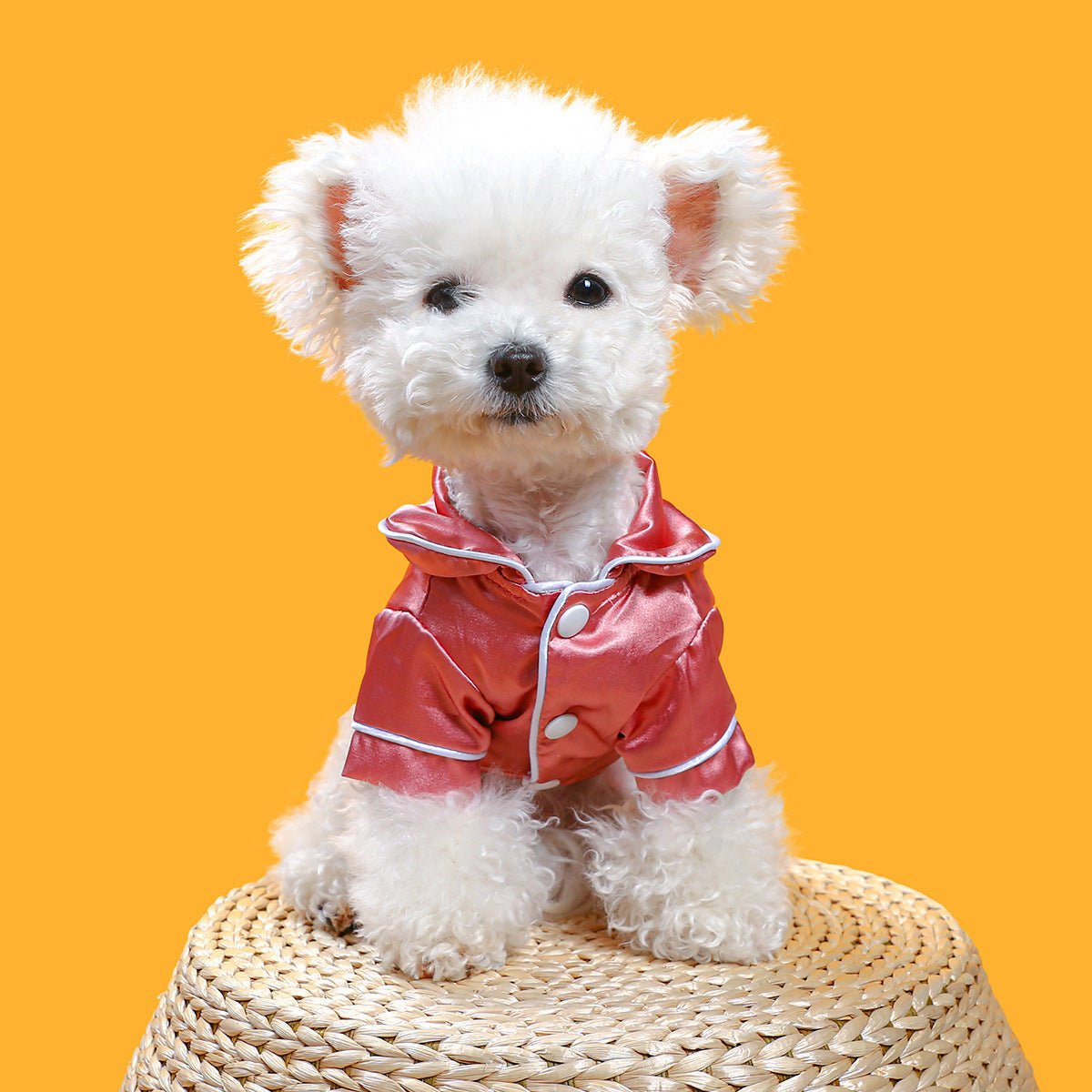 Chic Quadrato: Vestitino Elegante per Can - Dog Moda