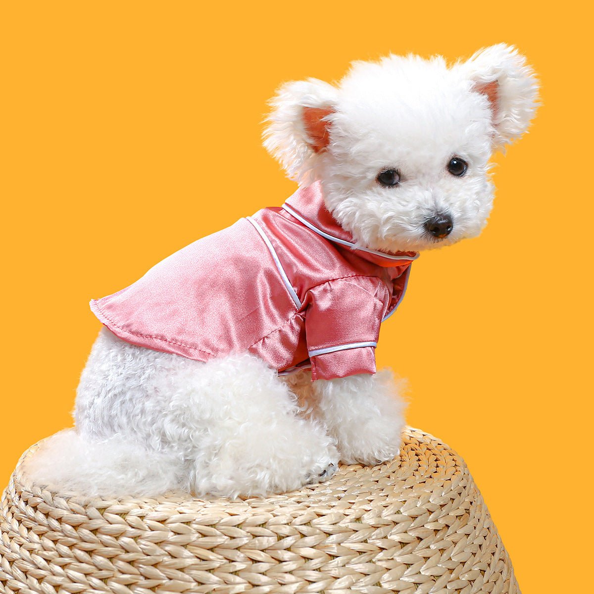 Chic Quadrato: Vestitino Elegante per Can - Dog Moda