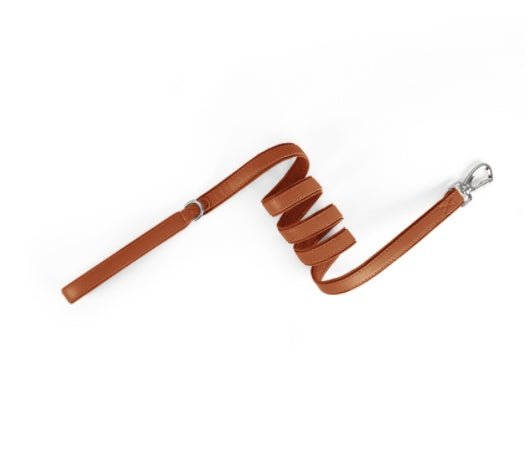 Collare "Track & Tail" con Alloggio per AirTag - Dog Moda
