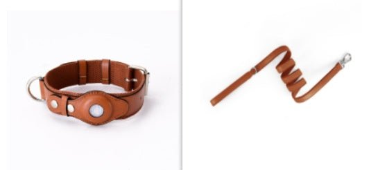 Collare "Track & Tail" con Alloggio per AirTag - Dog Moda