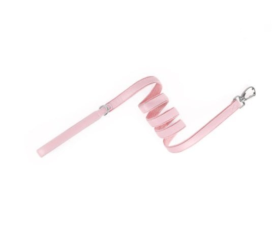 Collare "Track & Tail" con Alloggio per AirTag - Dog Moda