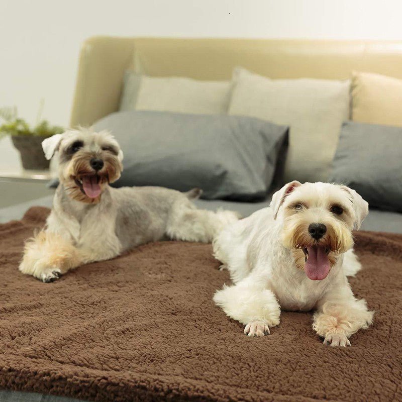 Copertina leggera e calda in morbido pile per cani - Dog Moda