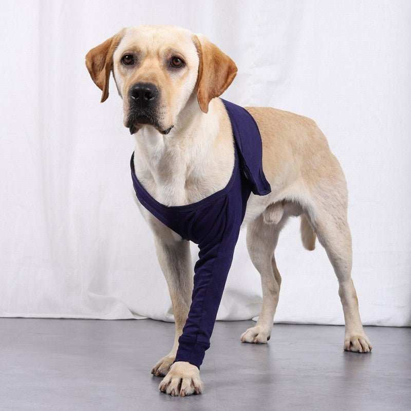 Copri fasciatura per zampe anteriori del cane - Dog Moda
