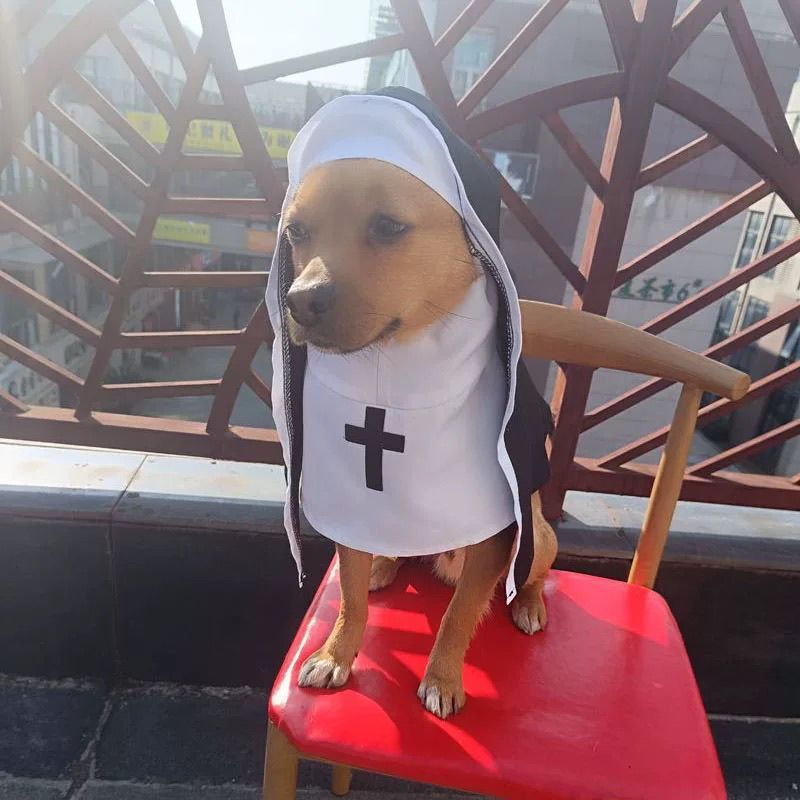 Costume da Suora per Cani e gatti - Modello "PET SHOW" Speciale Halloween - Dog Moda