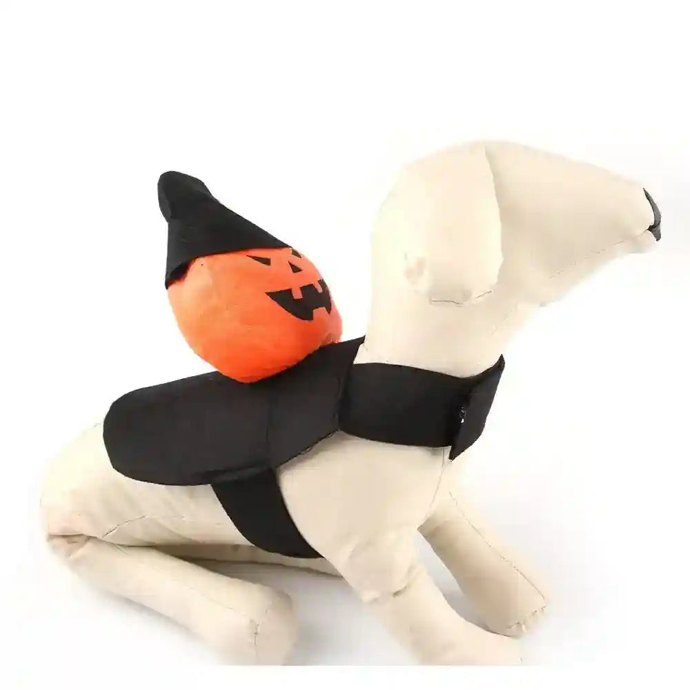 Costume d'Halloween pour chiens – Citrouille ou petit fantôme