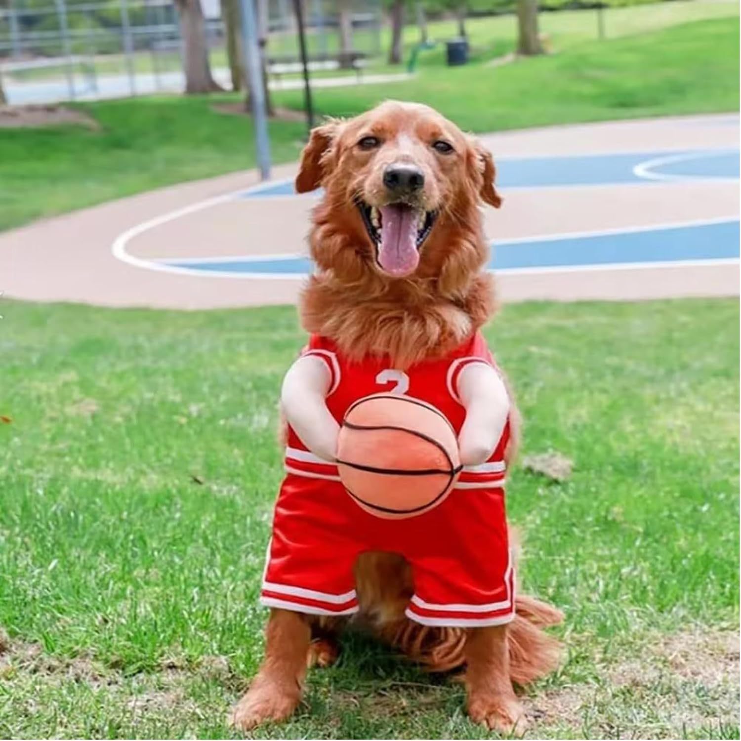 Costume per Cani Modello "Basket" - Dog Moda