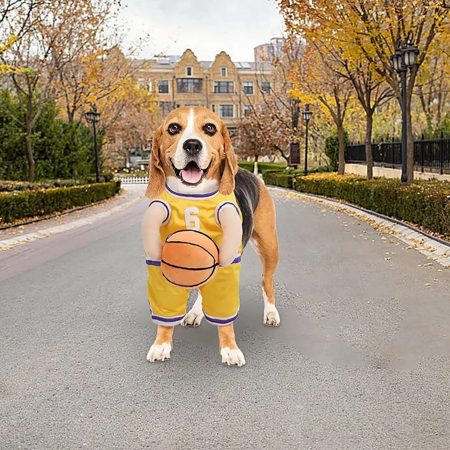 Costume per Cani Modello "Basket" - Dog Moda