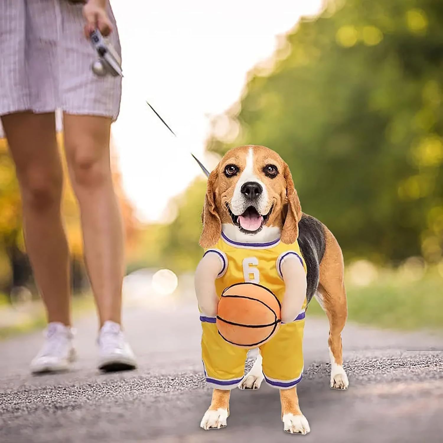 Costume per Cani Modello "Basket" - Dog Moda
