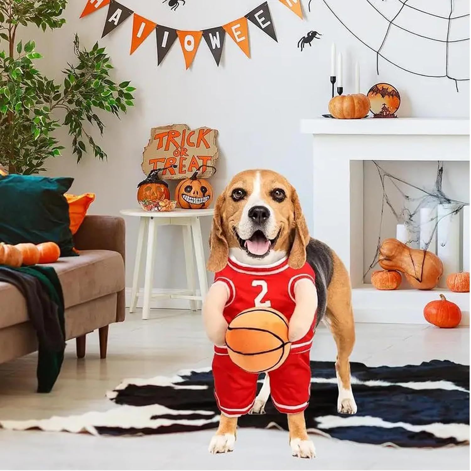 Costume per Cani Modello "Basket" - Dog Moda