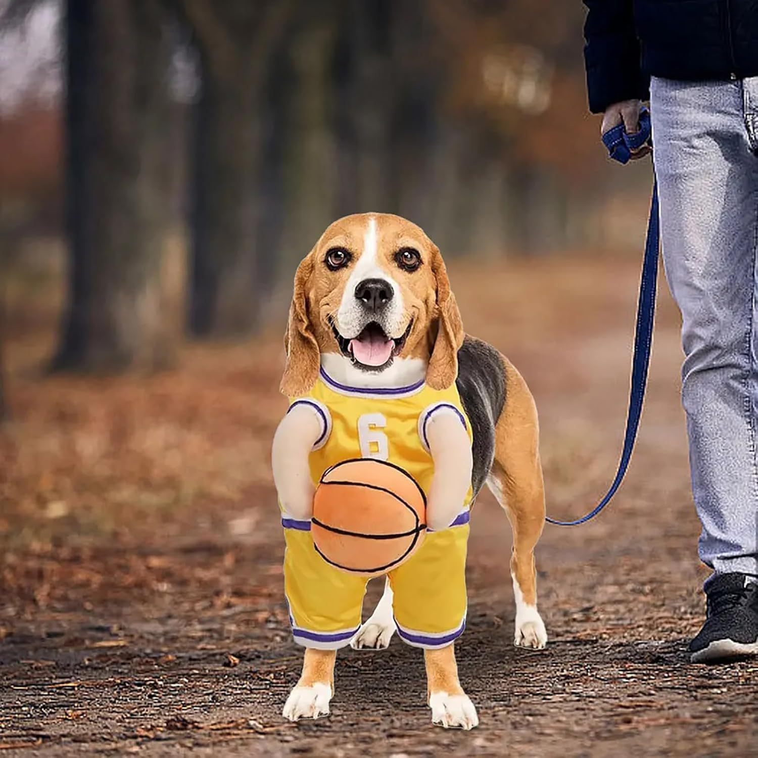 Costume per Cani Modello "Basket" - Dog Moda