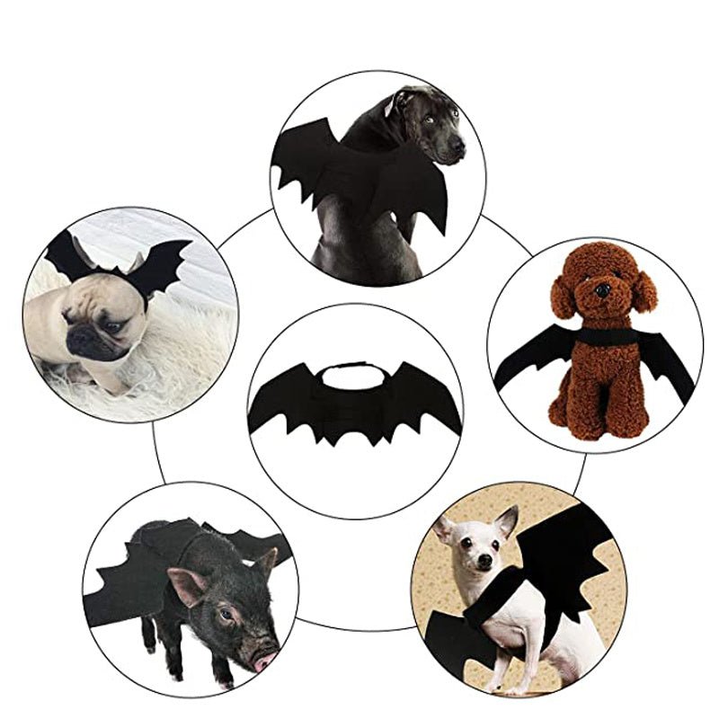 Costume per Cani "Spider Terror" - Il Ragno Peloso da Brividi - Dog Moda