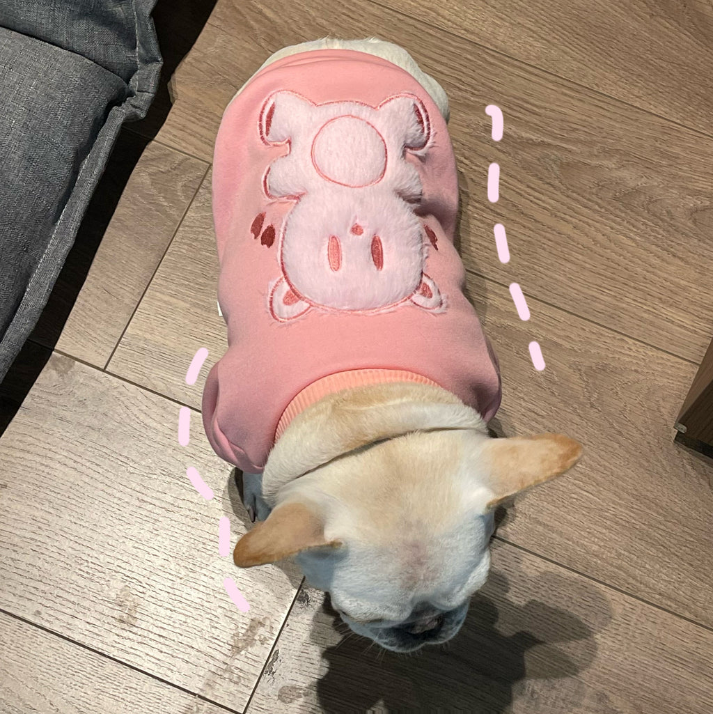 Maglione Cane Rosa Coniglietto - Felpa Bulldog Cuori